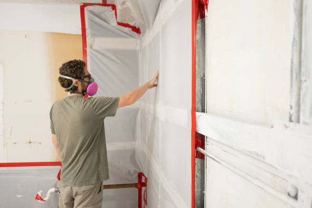 Reliable Manville, NJ Mold Removal Solutions