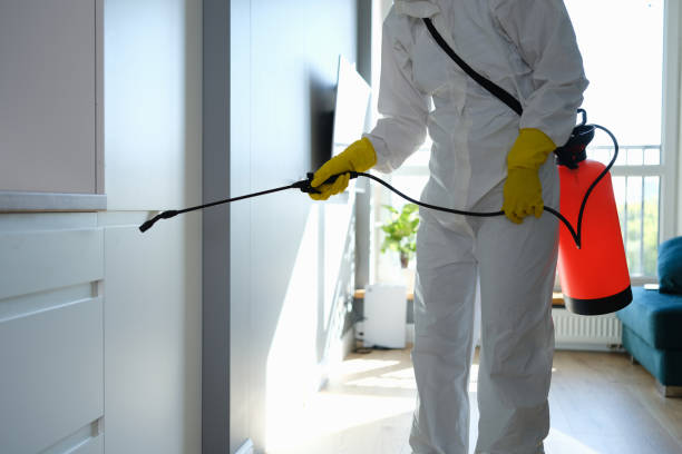 Best Airborne Mold Testing  in Manville, NJ