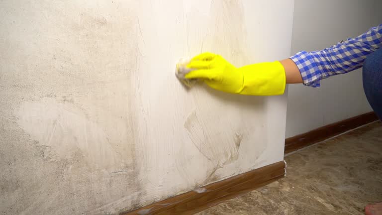 Best Basement Mold Removal  in Manville, NJ