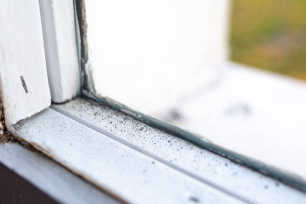 Best Mold Remediation for Healthcare Facilities  in Manville, NJ