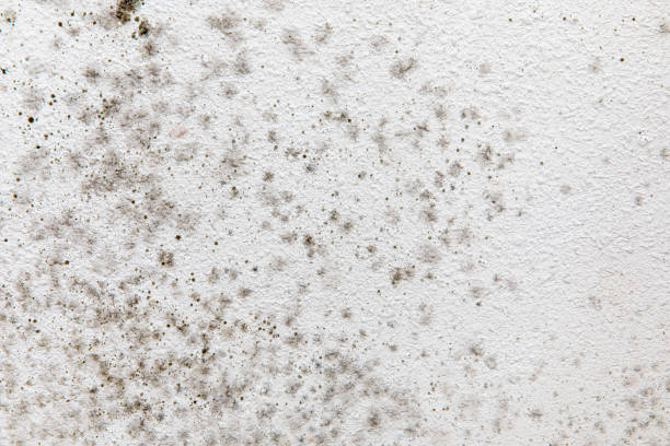 Best Indoor Air Quality Assessment  in Manville, NJ