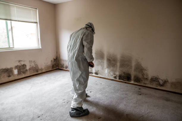 Best Emergency Mold Remediation  in Manville, NJ