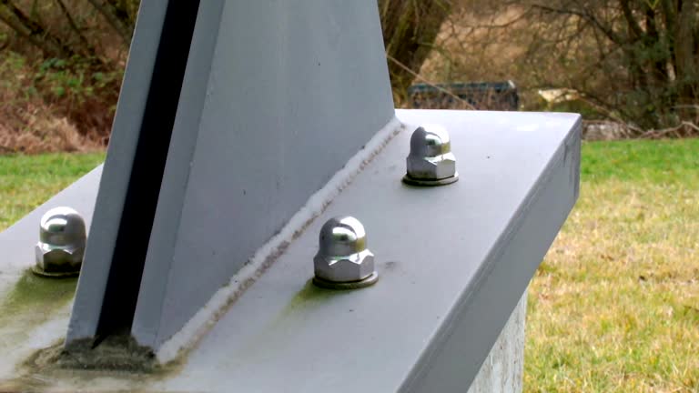 Best Mold Documentation for Insurance Claims  in Manville, NJ