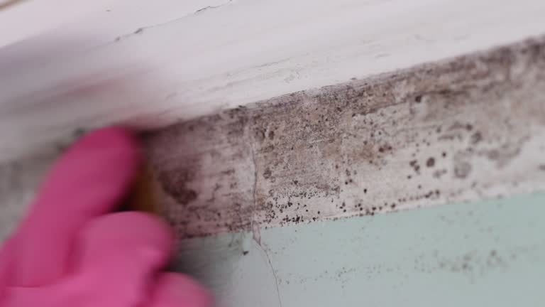 Best Real Estate Mold Inspection  in Manville, NJ